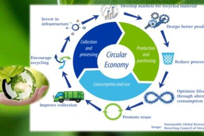 Ayuda al medio ambiente con acciones individuales: ¡Actúa ahora!