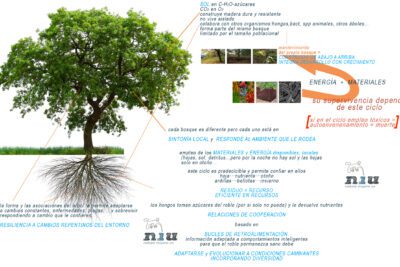 Coping con el impacto del bloqueo temporal en nuestra vida diaria