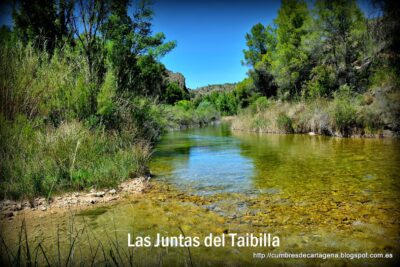 La importancia del agua para la vida en la naturaleza