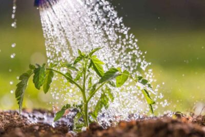La importancia del agua según el Laudato Si: enseñanzas y reflexiones