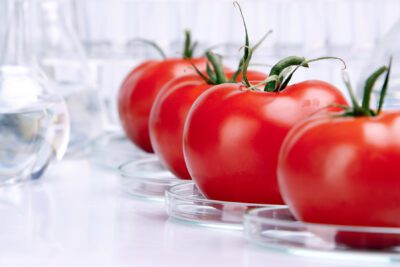 Del campo a la mesa: el proceso de transformación de alimentos
