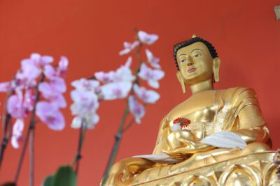 Guía completa para configurar y significado del altar de un Buda