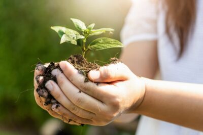 Consejos para crear un entorno saludable y agradable