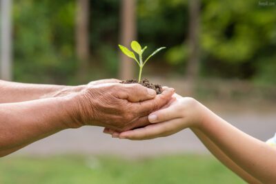 La importancia de un ambiente saludable y limpio para tu bienestar