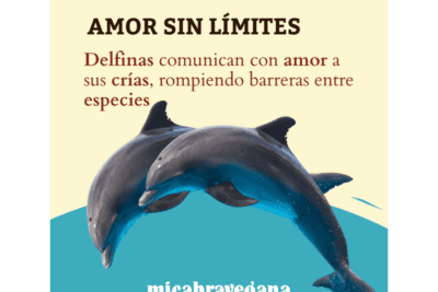 El eterno debate: ¿Es más fuerte amar con el alma o con el corazón?