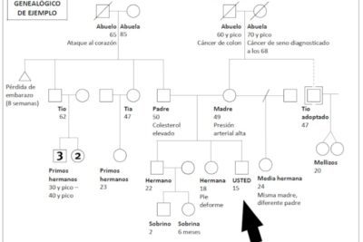 Influencia de ancestros en tu personalidad y relaciones