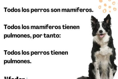 La consideración de un acto como moralmente correcto: ¿cuándo se da?