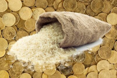 La ubicación ideal para colocar el arroz según el Feng Shui