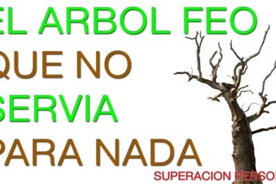 Estrategias para superar la dependencia emocional y recuperar el bienestar