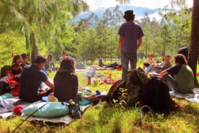 Costo promedio de ceremonia de ayahuasca en Ecuador: Lo esencial