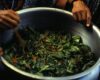 Destinos de ayahuasca: descubre dónde probar esta medicina ancestral