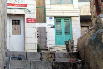 El lugar exacto de nacimiento de Jesús: ¿Israel o Palestina?