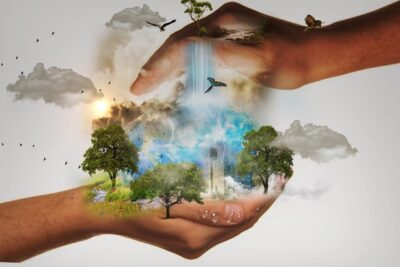 Ejemplos comunes de estudio en ecología
