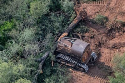 La importancia de comprender la conducta natural en los seres vivos