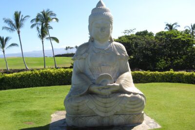El arma de Buda: su palabra de sabiduría y compasión