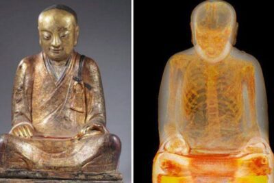 Análisis de la traición de Buda: razones y motivos