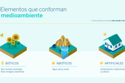 Análisis de las características y funciones de un medio virtual