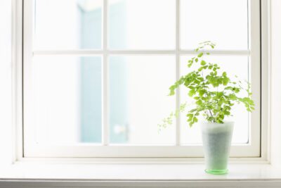 Consejos para organizar y mantener una casa en orden