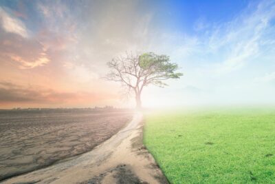 La principal causa de la crisis ambiental y su posible solución