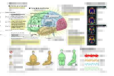 Beneficios de mindfulness según la neurociencia: una mirada científica