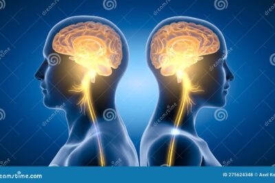 Beneficios de la meditación según la neurociencia