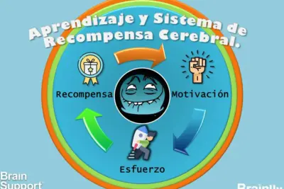 Mejora tus habilidades cognitivas para destacar en tus estudios y vida personal