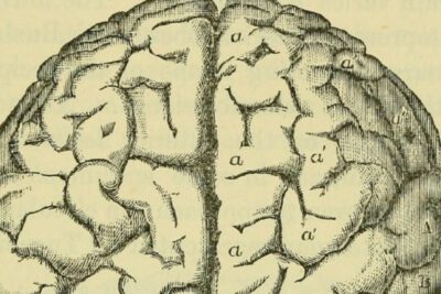 Diferencia entre inconsciente y consciente: conocimiento o percepción