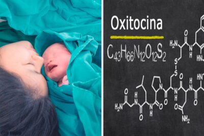 La oxitocina: la hormona responsable de liberar la gratitud