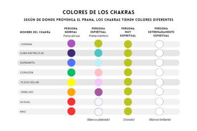 Guía completa de los chakras y su relación con los órganos del cuerpo