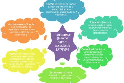 Diferencias entre ecología y ecología humana: una mirada comparativa