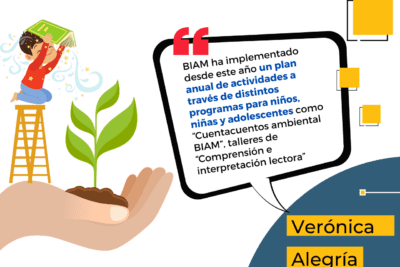 Relación entre el ser humano y el medio ambiente: ejemplos y medidas