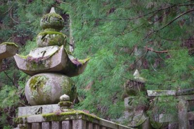 La conciencia en la vida espiritual: una mirada profunda