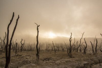 Actividades que aumentan la huella ecológica: una mirada detallada