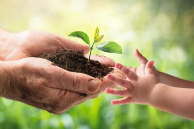 Cómo evitar la contaminación y cuidar el medio ambiente