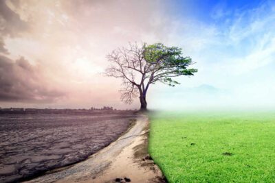 Consecuencias negativas de la falta de conciencia ambiental: impactos en el entorno y calidad de vida