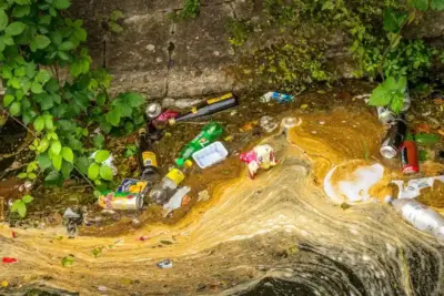 Residuos contaminantes: su impacto en el planeta
