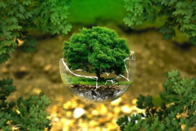 La responsabilidad por la contaminación ambiental: ¿Quién la tiene?