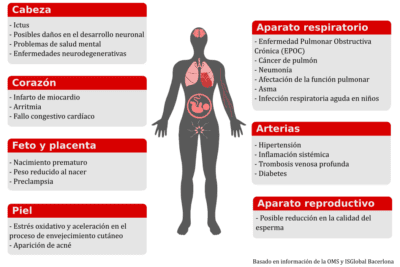 Impacto de la contaminación en la salud humana: un análisis profundo
