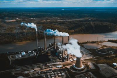 Efectos de la contaminación en los seres vivos: un análisis completo