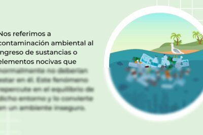 Impacto de la contaminación en la salud y el ecosistema