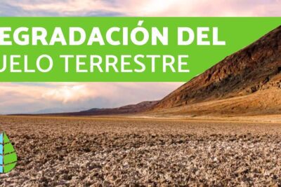 Impacto ambiental: consecuencias y efectos en el medio ambiente