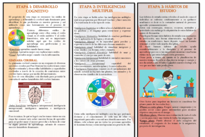Descubriendo el desarrollo cognitivo: cómo se forma la inteligencia