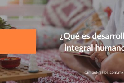 Los elementos clave para alcanzar un desarrollo integral