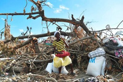 Impacto ambiental humano: consecuencias en los seres vivos
