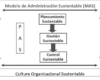 Evolución de una organización: etapas y análisis del desarrollo