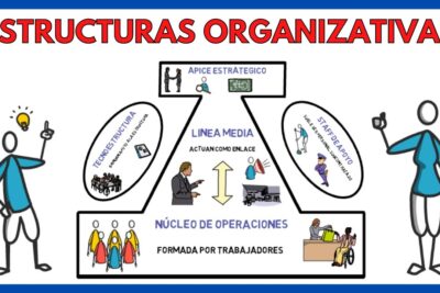 Elementos clave de las organizaciones: estructura, objetivos y recursos