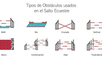 Tipos de obstáculos: una guía sobre los diferentes desafíos a superar