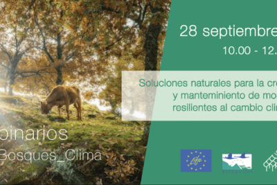 Naturaleza humana: características y diferencias con otras especies