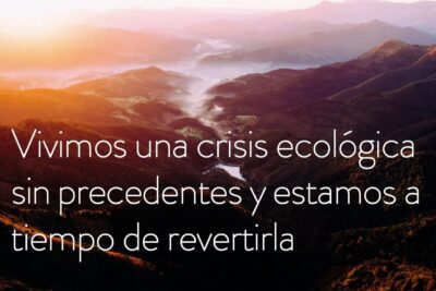 Los tres tipos principales de naturaleza: física, biológica y social