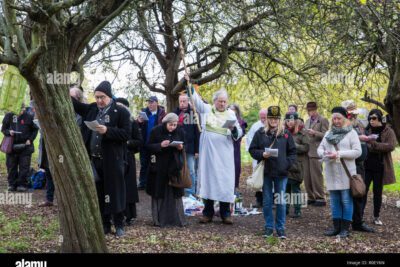 El papel de los druidas en la sociedad y su significado en la historia